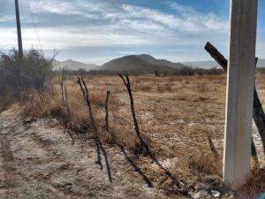 Terreno en venta en Parras de la Fuente Centro, Parras — foto 3 de 6