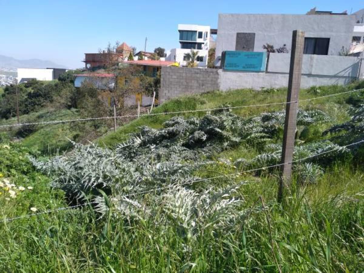 Terreno en venta en Burocrata Hipodromo, Tijuana — foto 1 de 28