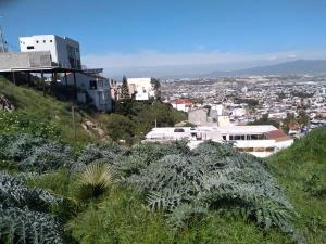 Terreno en venta en Burocrata Hipodromo, Tijuana — foto 2 de 28