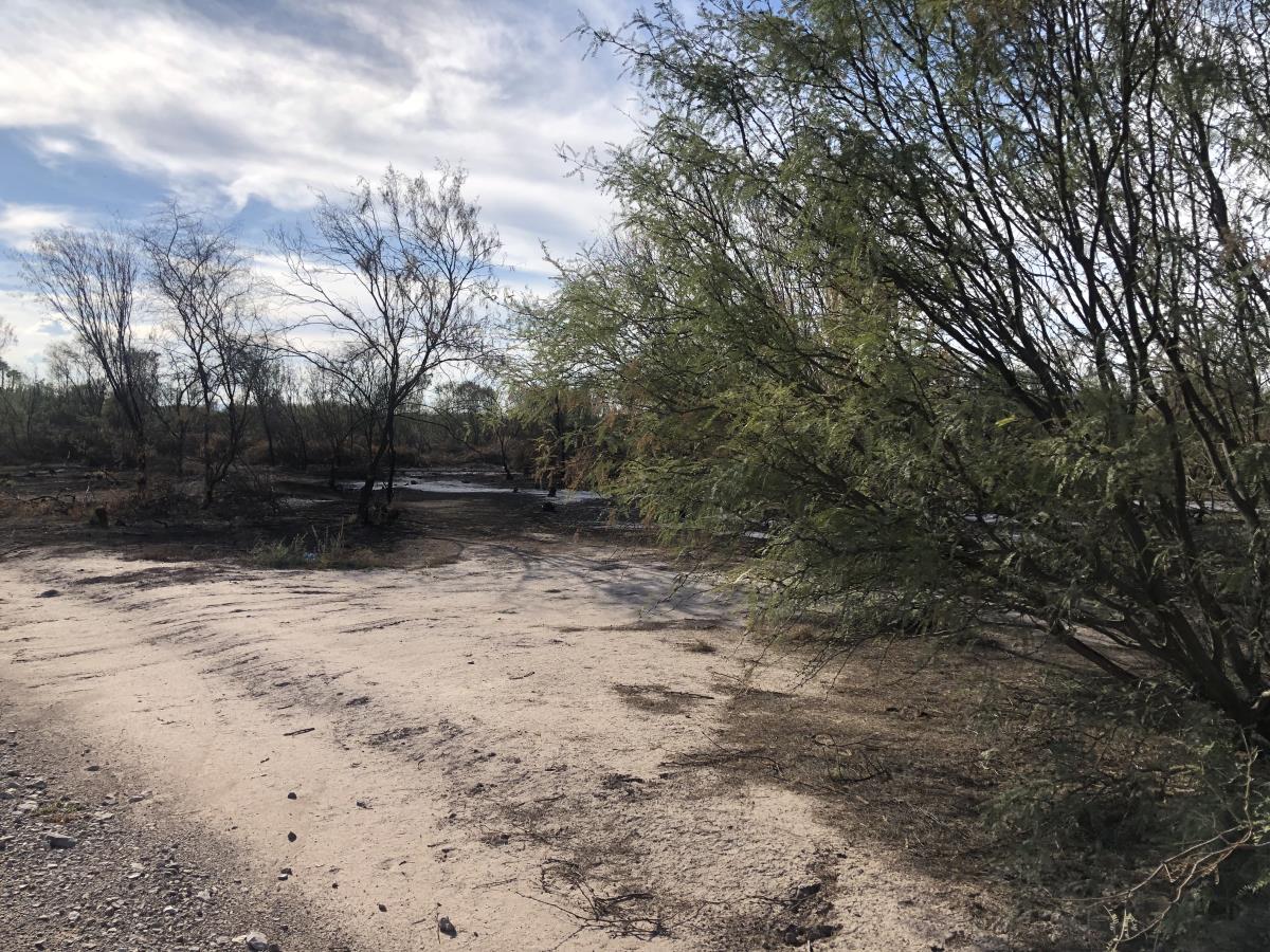 Terreno en Venta en La Esperanza, Matamoros, Coahuila de Zaragoza