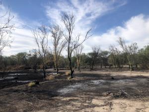 Terreno en venta en La Esperanza, Matamoros — foto 2 de 6