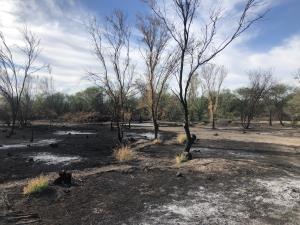 Terreno en venta en La Esperanza, Matamoros — foto 3 de 6