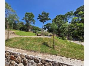 Terreno en venta en Las Joyitas, Villa de Álvarez — foto 2 de 15