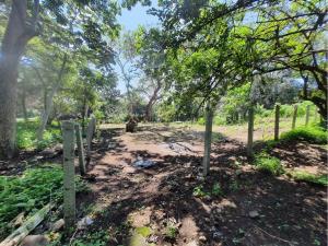 Terreno en venta en Las Joyitas, Villa de Álvarez — foto 3 de 15