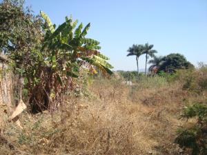 Terreno en venta en Palmira Tinguindin, Cuernavaca — foto 3 de 21