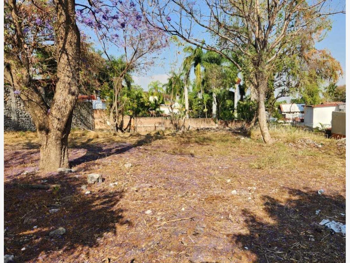 Terreno en venta en Las Palmas, Cuernavaca — foto 1 de 9