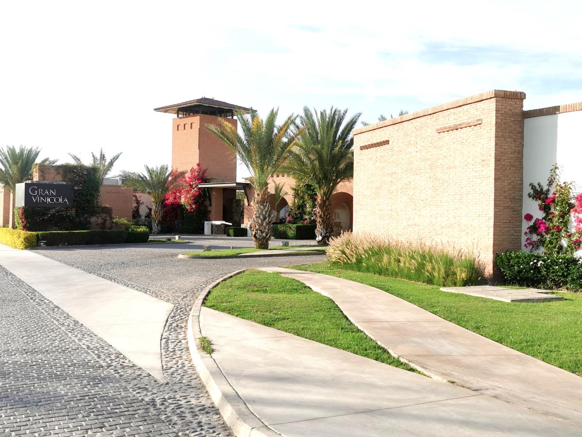 Terreno en Venta en La Gran Vinícola, Gómez Palacio, Durango