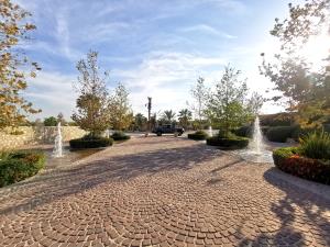 Terreno en venta en La Gran Vinícola, Gómez Palacio — foto 2 de 15