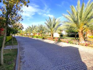Terreno en venta en La Gran Vinícola, Gómez Palacio — foto 3 de 15