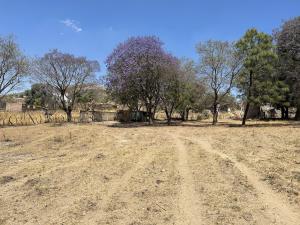 Terreno en venta en Real de Tesistán, Zapopan — foto 3 de 15