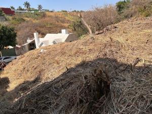 Terreno en venta en Palmira Tinguindin, Cuernavaca, Morelos