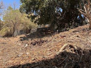 Terreno en venta en Palmira Tinguindin, Cuernavaca — foto 2 de 9