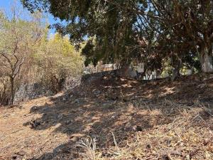 Terreno en venta en Palmira Tinguindin, Cuernavaca — foto 3 de 9