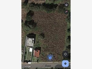 Terreno en venta en San Dionisio Yauhquemehcan, Yauhquemehcan — foto 2 de 12