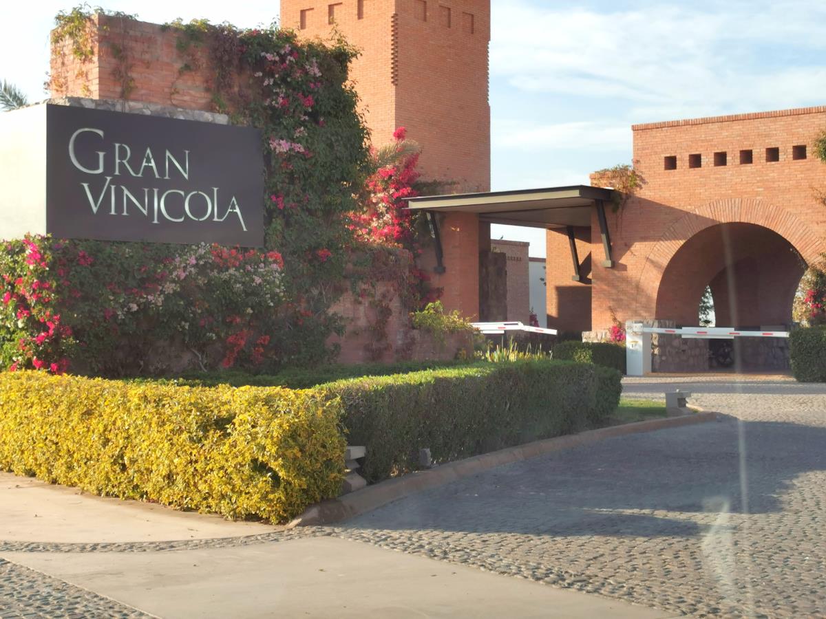 Terreno en Venta en La Gran Vinícola, Gómez Palacio, Durango