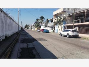 Terreno en renta en Miguel Aleman, Veracruz — foto 2 de 4