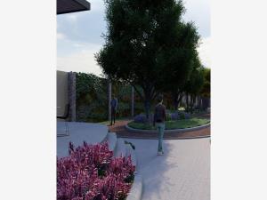 Terreno en venta en Los Viñedos, Torreón — foto 3 de 5
