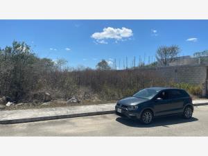 Terreno en venta en Yaxkukul, Yaxkukul — foto 2 de 13
