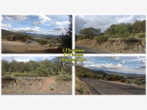 Terreno en venta en El Picacho, Amealco de Bonfil — foto 2 de 9