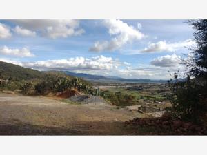 Terreno en venta en El Picacho, Amealco de Bonfil — foto 3 de 9