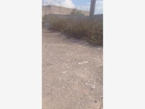 Terreno en venta en Ejido Casa Blanca, Gómez Palacio — foto 3 de 7