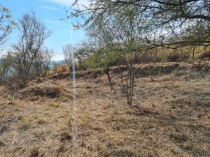 Terreno en venta en El Uro, Monterrey — foto 3 de 6