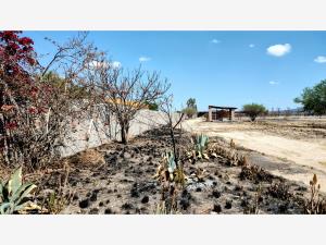 Terreno en venta en San Rafael, Corregidora — foto 2 de 24