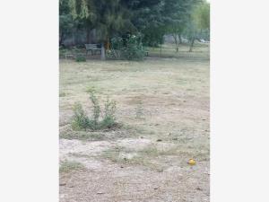 Terreno en venta en Valle Verde, Torreón — foto 3 de 4