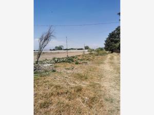 Terreno en venta en San Miguel Totocuitlapilco, Metepec — foto 2 de 3