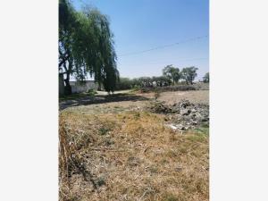 Terreno en venta en San Miguel Totocuitlapilco, Metepec — foto 3 de 3