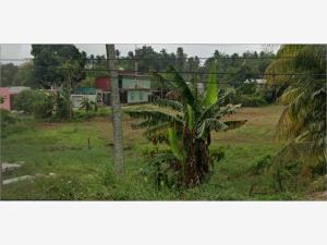 Terreno en venta en Quintin Arauz, Paraíso — foto 2 de 4