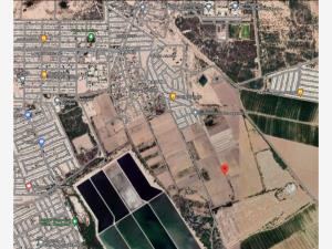 Terreno en venta en La Rosita, Torreón, Coahuila de Zaragoza Terreno en venta en La Rosita, Torreón, Coahuila de Zaragoza