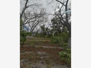 Terreno en venta en Parras de la Fuente Centro, Parras — foto 2 de 7