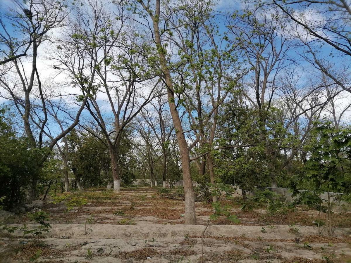 Terreno en venta en Parras de la Fuente Centro, Parras — foto 1 de 7