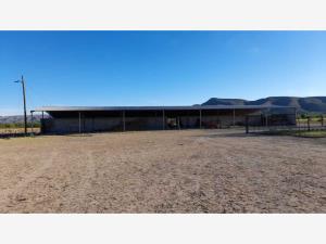 Finca-Rancho en venta en Nuevo Poblado de Nadadores (El Huizachal), Nadadores — foto 2 de 11