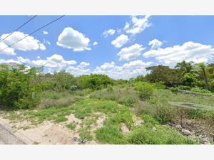 Terreno en venta en Komchen, Mérida — foto 2 de 20