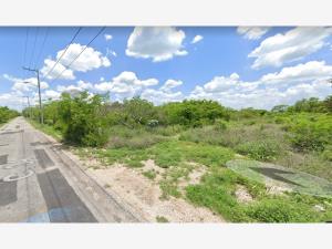 Terreno en venta en Komchen, Mérida — foto 3 de 20