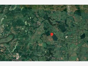 Terreno en venta en Víctor Fernández Manero 1ra. Sección (San Antonio), Jalapa — foto 3 de 10