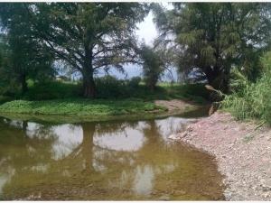 Terreno en venta en La Goma, Lerdo — foto 2 de 4