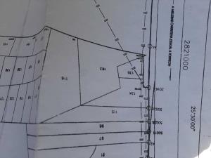 Terreno en venta en Ejido la Perla, Torreón — foto 3 de 3