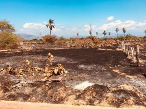 Terreno en venta en Pie de la Cuesta, Acapulco de Juárez — foto 2 de 6