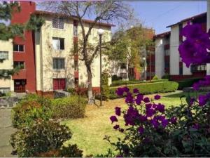 Departamento en venta en Fuentes del Pedregal, Tlalpan — foto 3 de 8