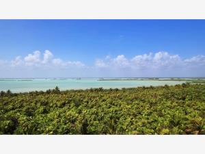 Terreno en venta en Sian Kaan, Othón P. Blanco — foto 2 de 8