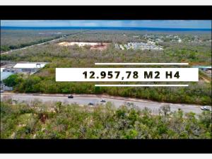 Terreno en venta en Tulum Centro, Tulum — foto 2 de 6