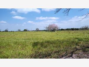 Terreno en venta en La Barahunda, Tierra Blanca — foto 3 de 20