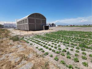 Terreno en venta en Chipilo de Francisco Javier Mina, San Gregorio Atzompa — foto 2 de 7
