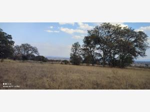 Terreno en venta en Hacienda Blanca, Amealco de Bonfil — foto 3 de 26
