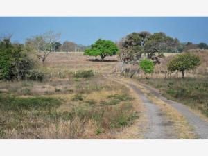 Finca-Rancho en venta en El Zacatal, Jamapa — foto 3 de 8