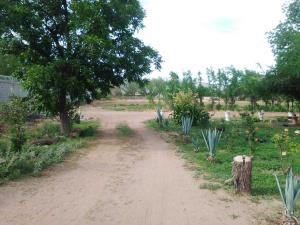 Terreno en venta en Ciudad Juárez, Lerdo — foto 3 de 15