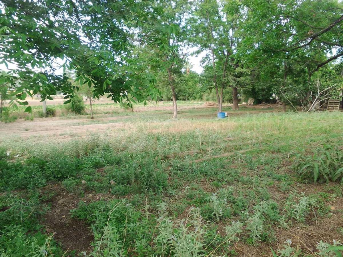 Terreno en Venta en Ciudad Juárez, Lerdo, Durango